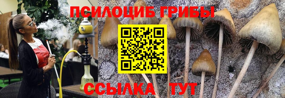 закладки  Вход с VPN  Кыштым  Псилоцибиновые грибы прущие грибы  Псилоцибиновые грибы ЛСД 