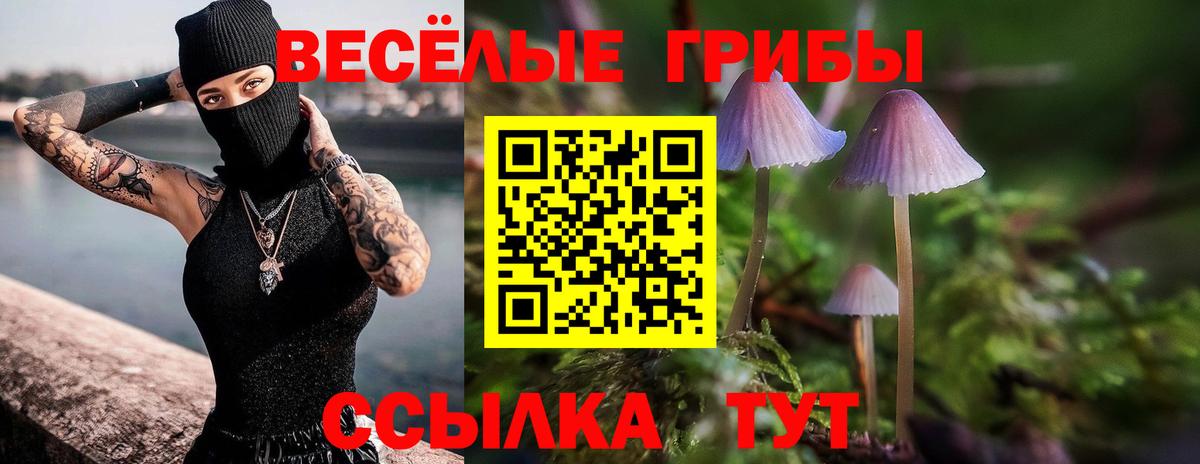 Галлюциногенные грибы мицелий Кыштым